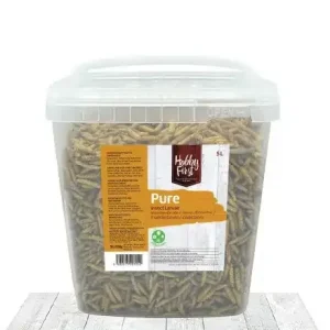 Hobbyfirst pure insectenlarve 5L