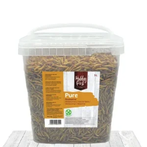 Hobbyfirst pure meelwormen 5L