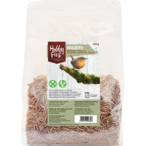 Hobbyfirst Wildlife meelwormen 400gr