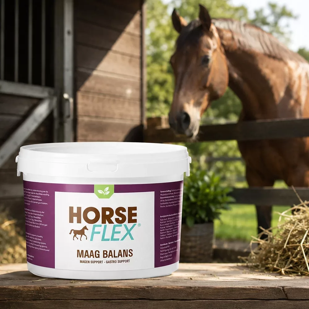 HorseFlex Maag Balans - Image 2