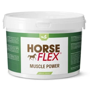 HorseFlex Muscle Power