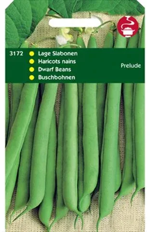 Hortitops Stamslabonen Phaseolus vulgaris Prelude - Groentezaden - 250 Gram