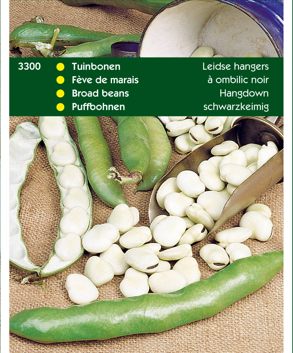 Hortitops Tuinbonen Vicia faba Leidse Hangers - Groentezaden - 250 Gram