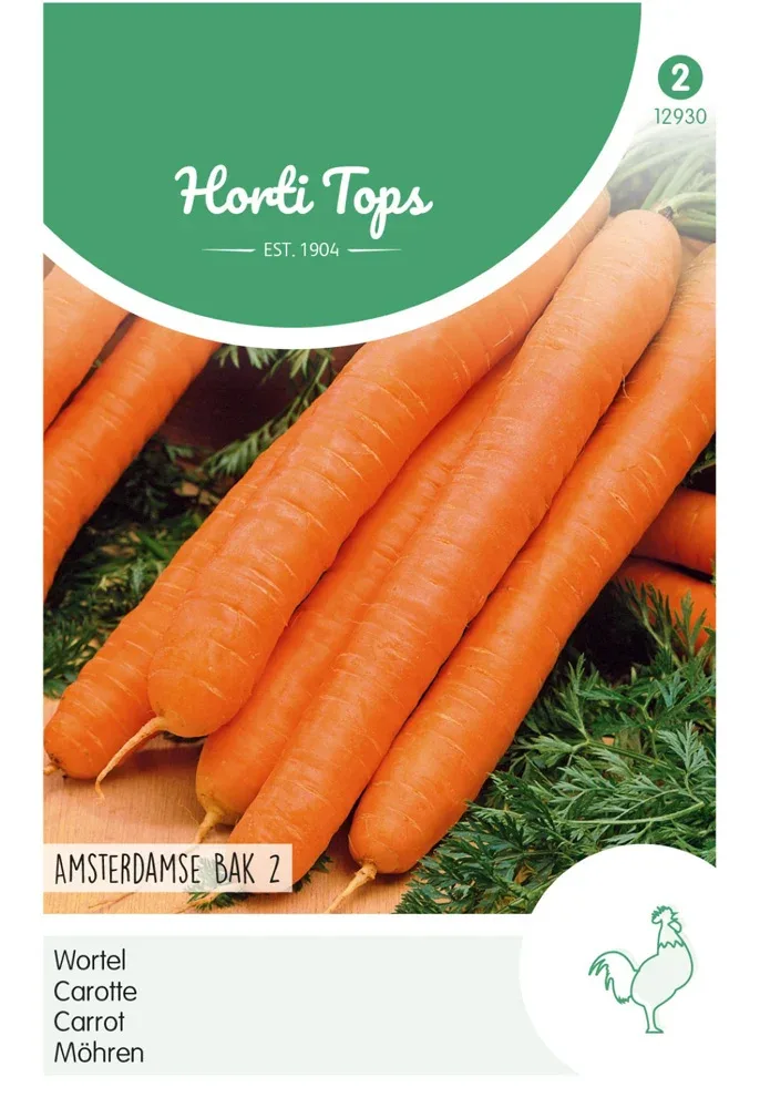 Hortitops Wortelen Daucus carota Amsterdamse Bak 2 - Groentezaden - 10 Gram