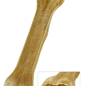 I Am Geperst Bot Gevuld met 8 Inch 20 cm 5 St - Zalm