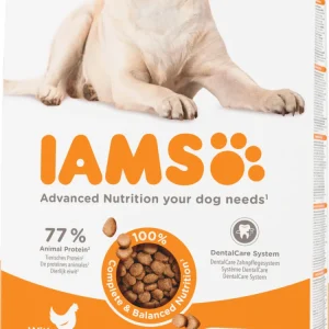 Iams Adult Large met kip hondenvoer