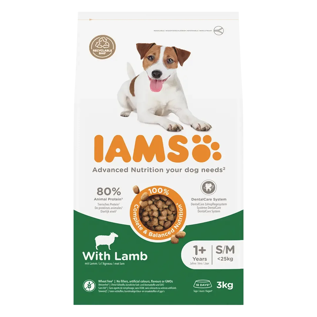 IAMS Adult Small Medium Lamb 3 kg
