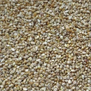 Japanse Millet (1 kg)