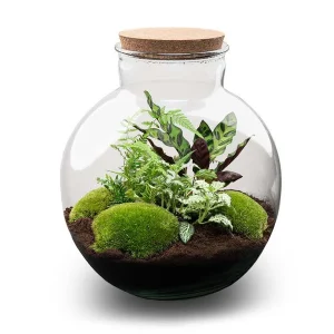 Kado Tip! DIY Planten Terrarium (met verlichting), Bolder Bob met Kurk, ↑, Zelfvoorzienend Ecosysteem, Complete Set met Planten en Mossen zonder Tools, Onderhoudsarm, Eyecatcher