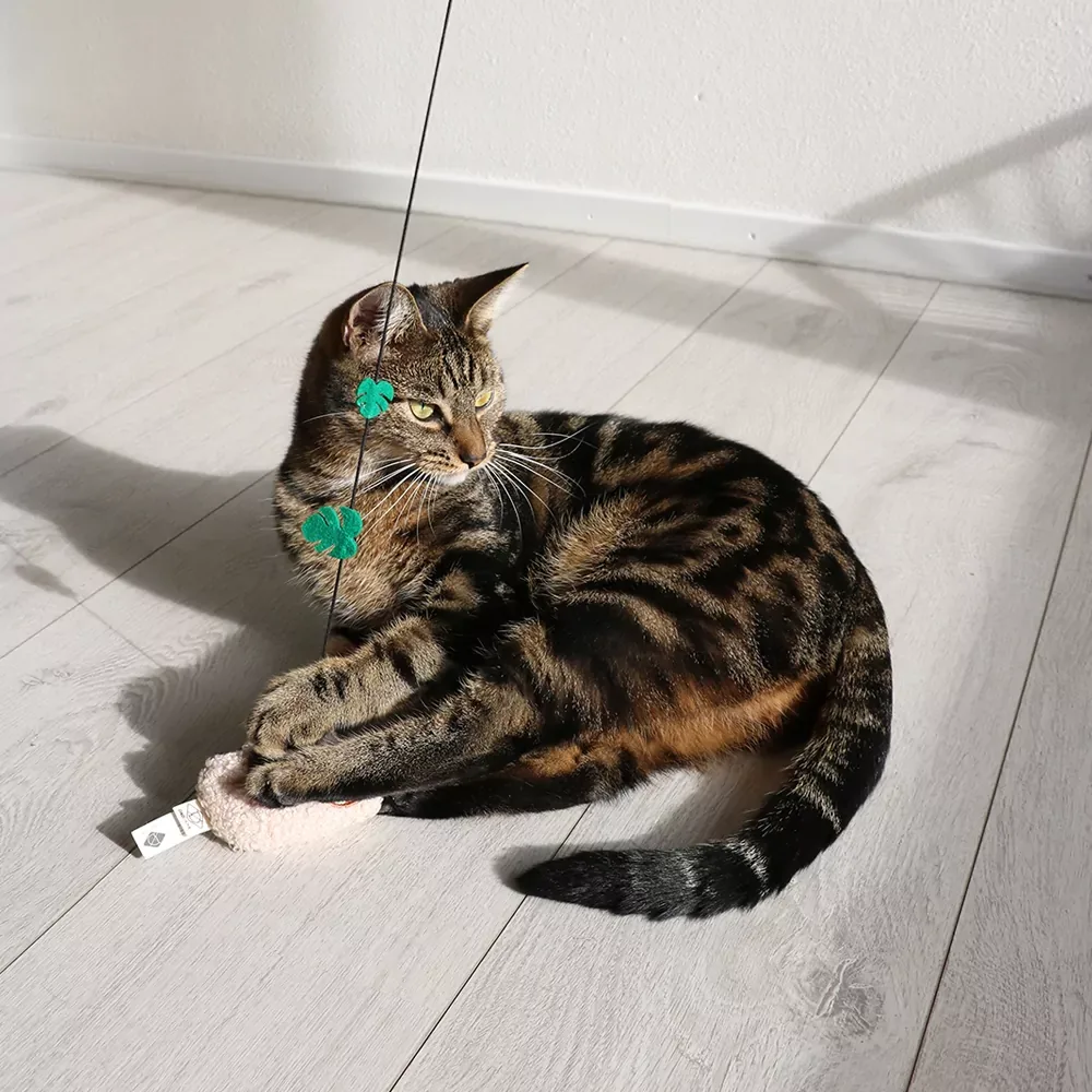 Kattenhengel – Luiaard Assorti – 1 stuk - Image 2