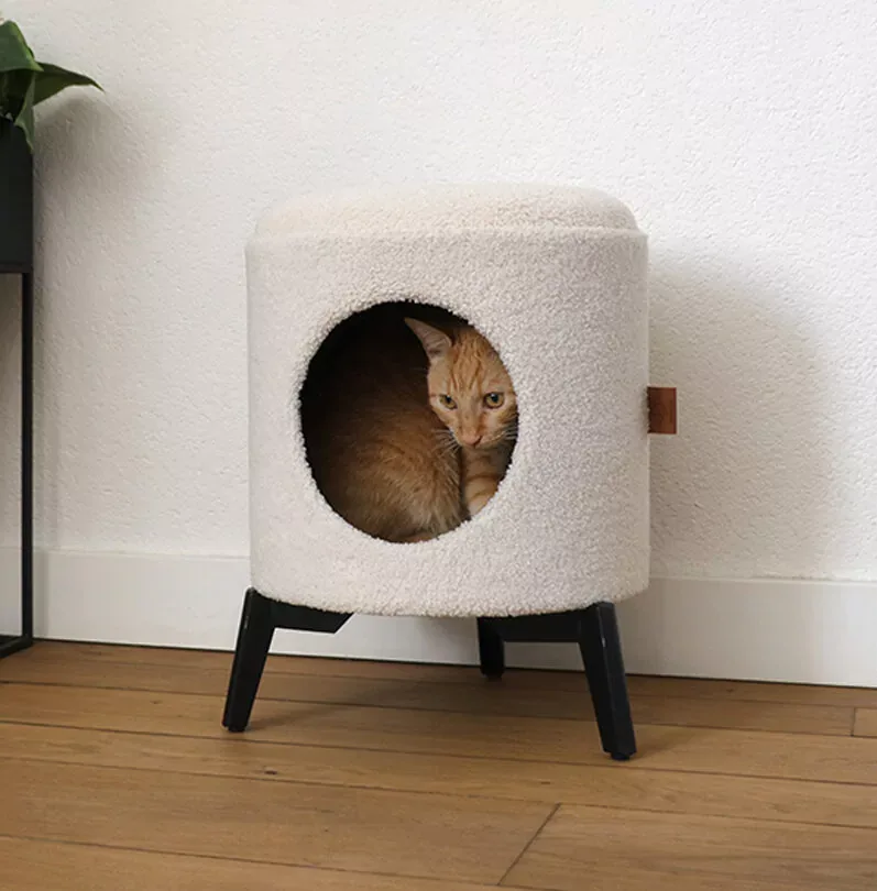 Kattenhuis – Jean Wit - Image 2