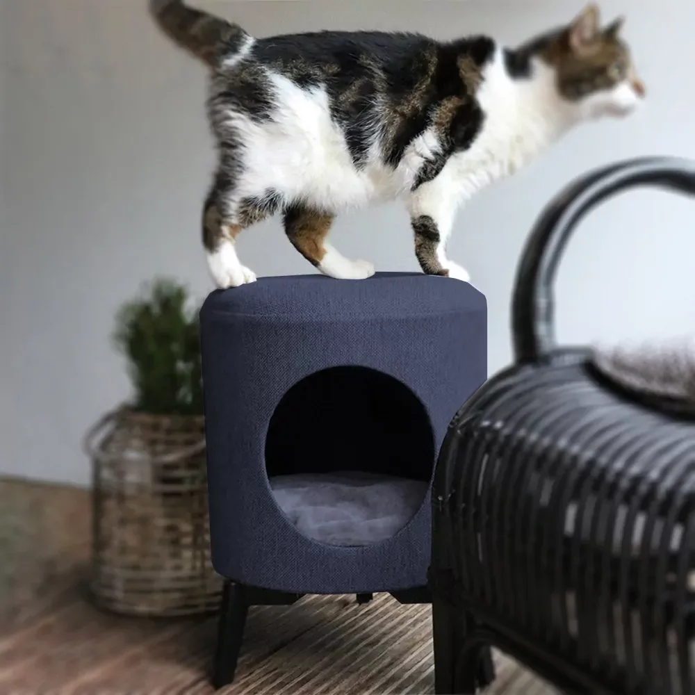 Kattenhuis – Louis Blauw - Image 2
