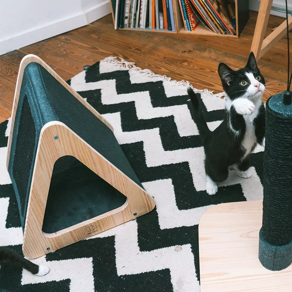 Kattenhuis – Toto - Image 2