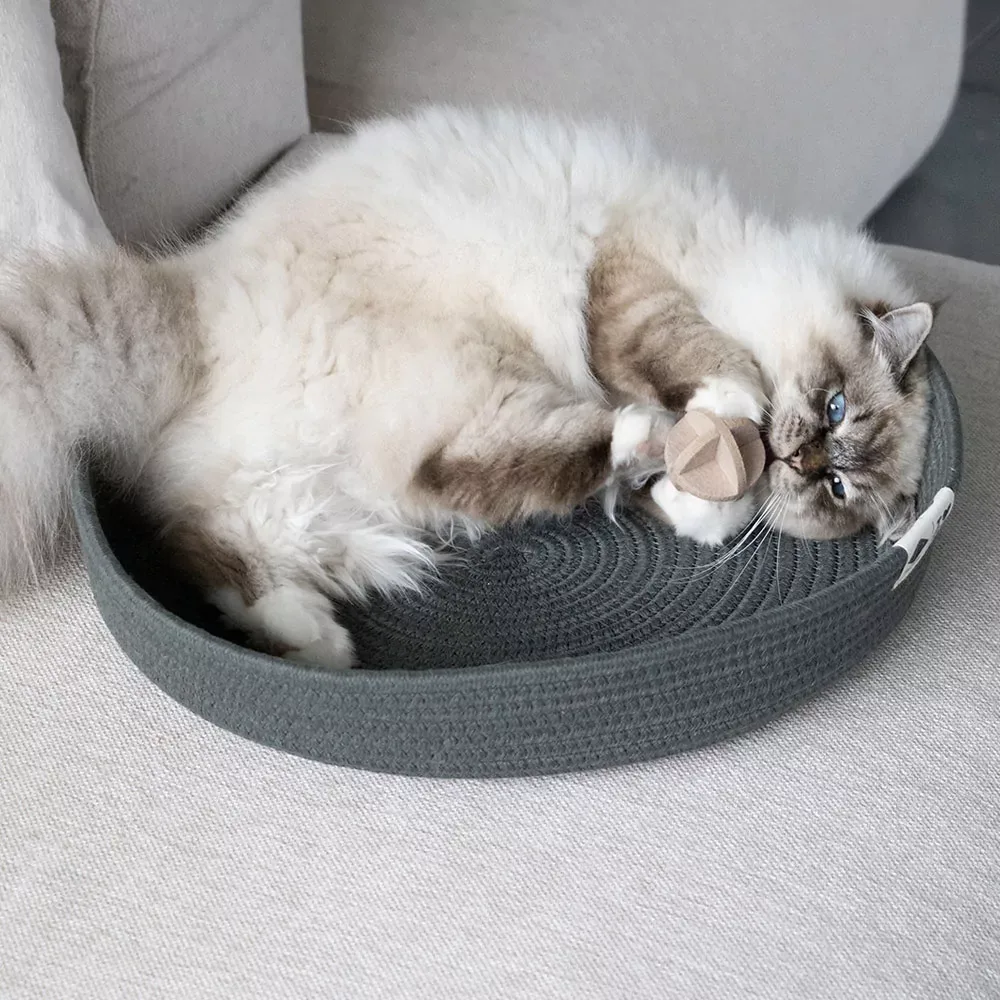 Kattenmand – Jess Groen - Image 2