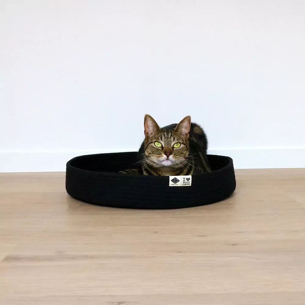 Kattenmand – Jess Zwart - Image 2