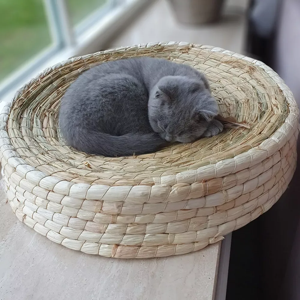 Kattenpoef Maisblad - Image 2