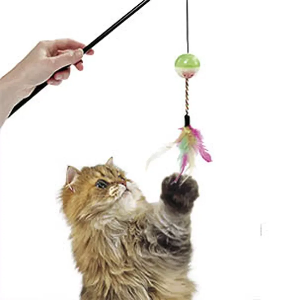 Kattenspeeltje – Hengel bal met veren