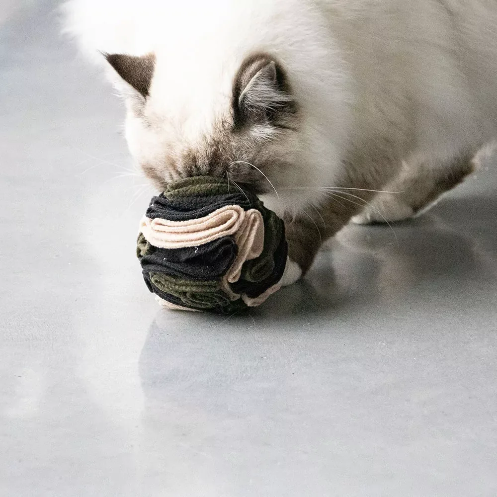 Kattenspeeltje – Snackbal Simon - Image 2