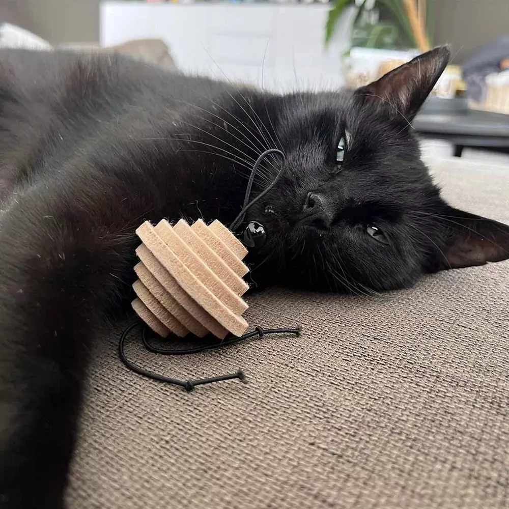 Kattenspeeltje – Yori – Assorti - Image 2
