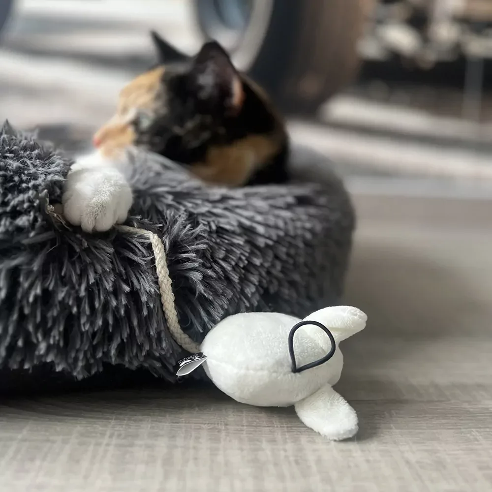 Kattenspeeltjes – Moosy – 2 stuks - Image 2
