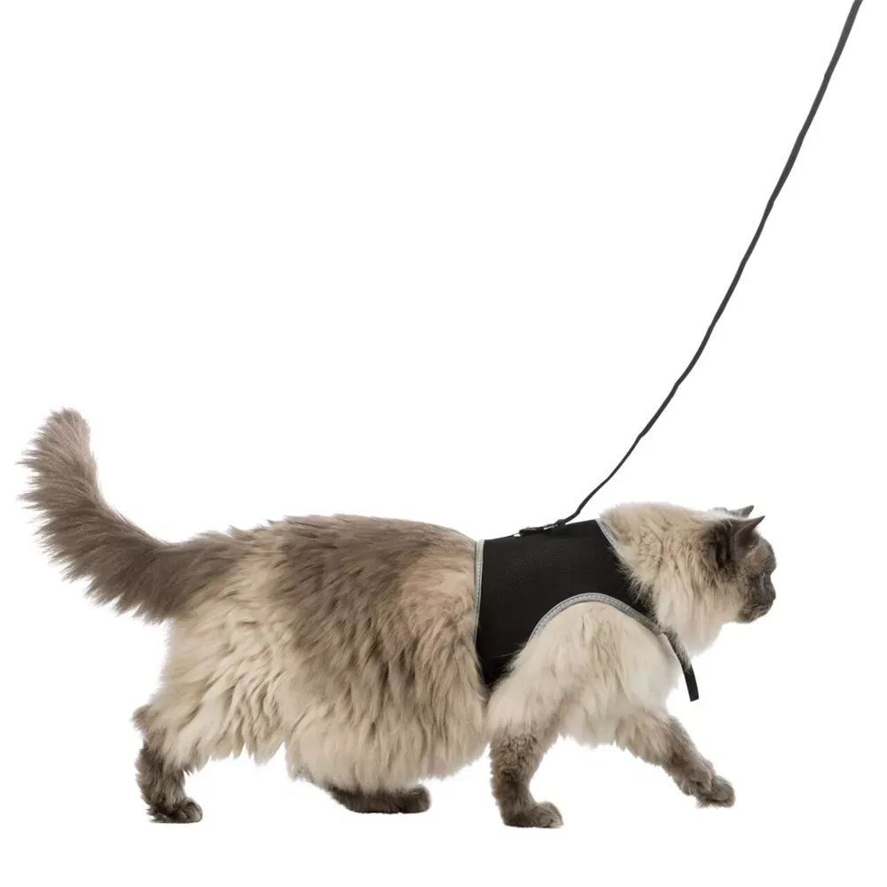 Kattentuigje Soft XXL – met Riem