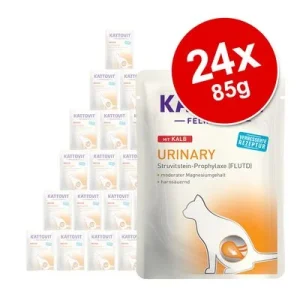Kattovit Feline Urinary Pouch 24 x 85 g Kattenvoer