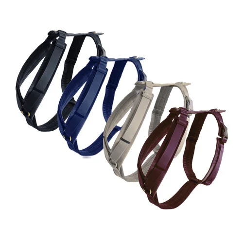 Kentucky Dog Harness Active Velvet I Hond I Bestel