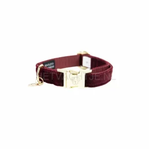 Kentucky - Hondenhalsband Corduroy Bordeaux