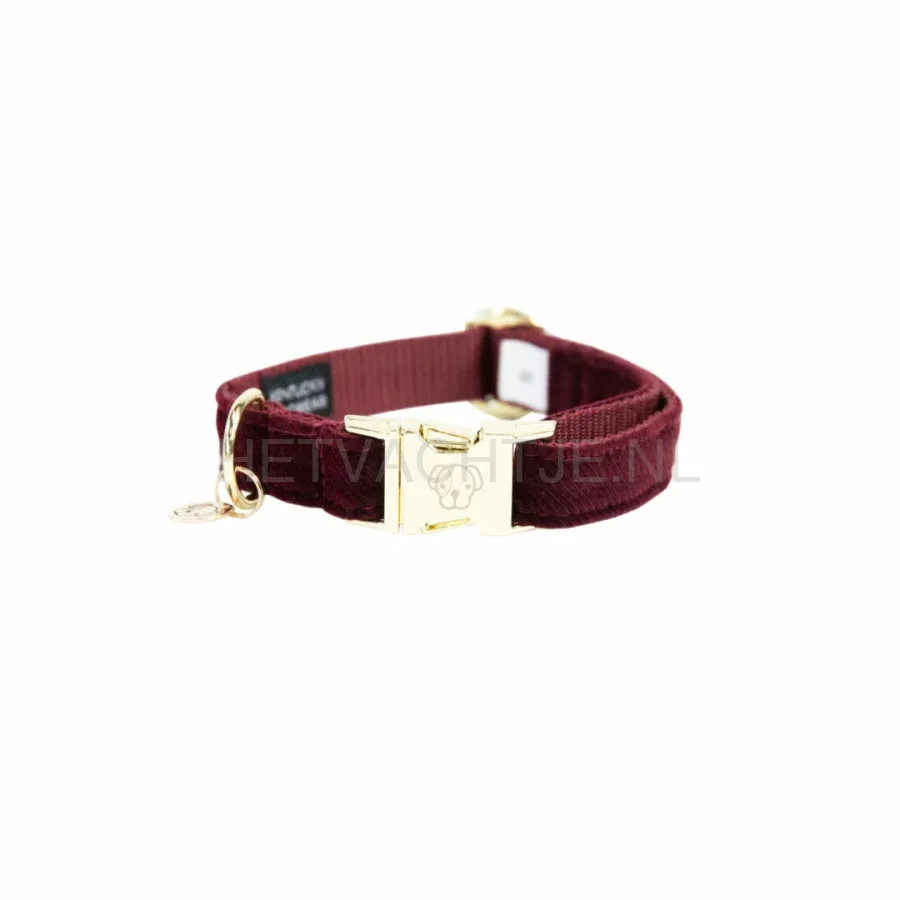 Kentucky - Hondenhalsband Corduroy Bordeaux