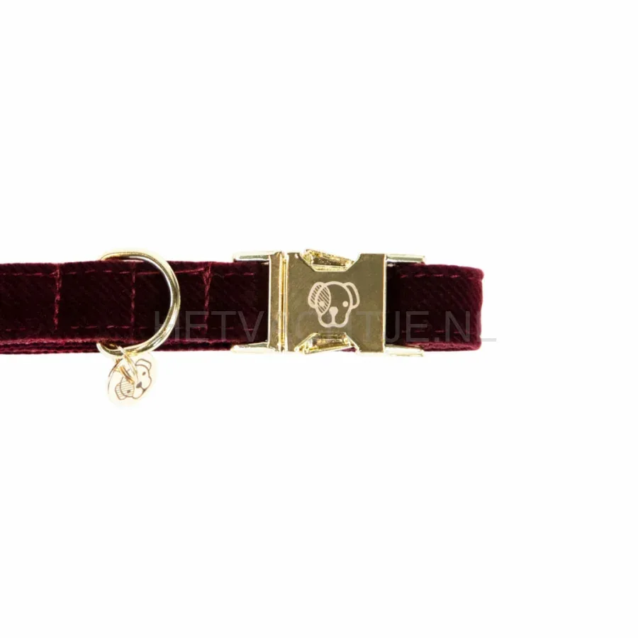 Kentucky - Hondenhalsband Corduroy Bordeaux - Image 2