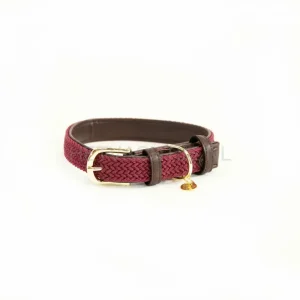 Kentucky - Hondenhalsband Gevlochten Bordeaux