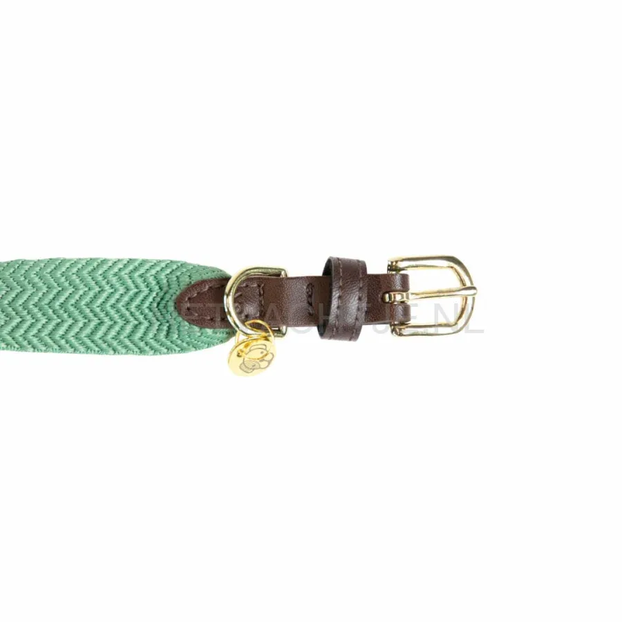 Kentucky - Hondenhalsband Jacquard Groen - Image 2