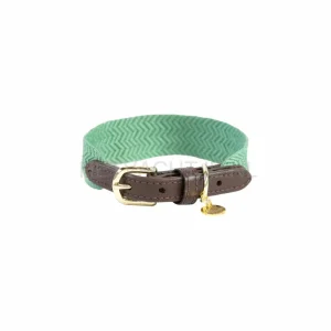 Kentucky - Hondenhalsband Jacquard Groen