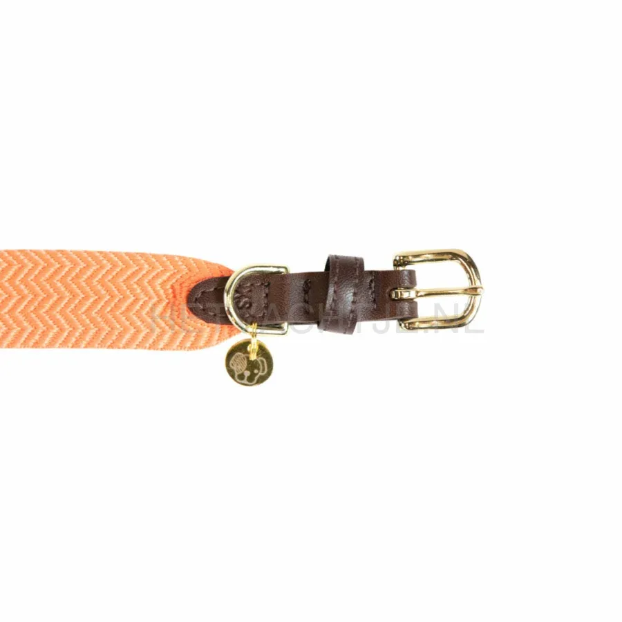 Kentucky - Hondenhalsband Jacquard Oranje - Image 2