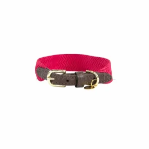 Kentucky - Hondenhalsband Jacquard Roos