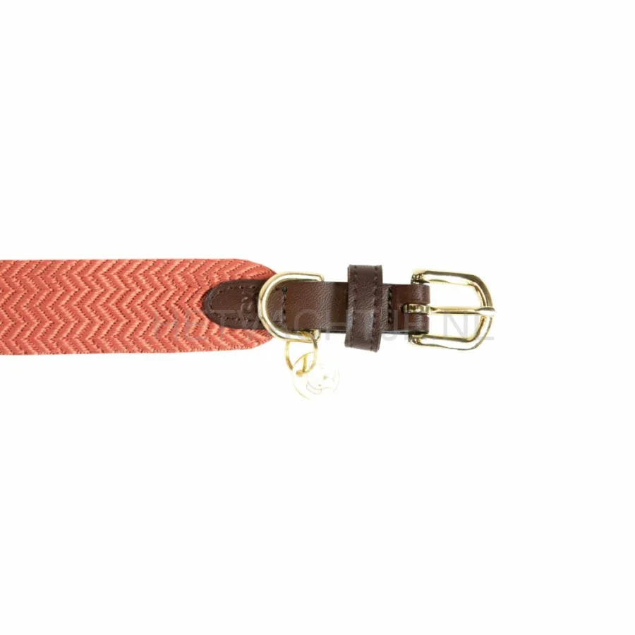 Kentucky - Hondenhalsband Jacquard Terracotta - Image 2
