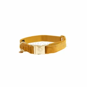 Kentucky - Hondenhalsband Velvet Mosterd