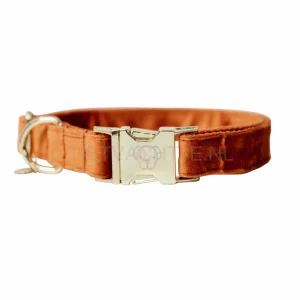 Kentucky - Hondenhalsband Velvet Oranje