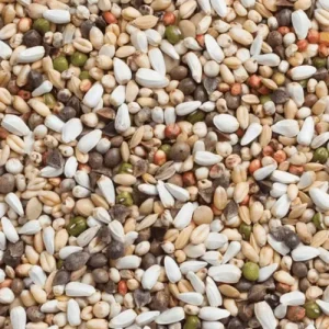 Kiemzaad grote Parkiet en Papegaai (1 kg)