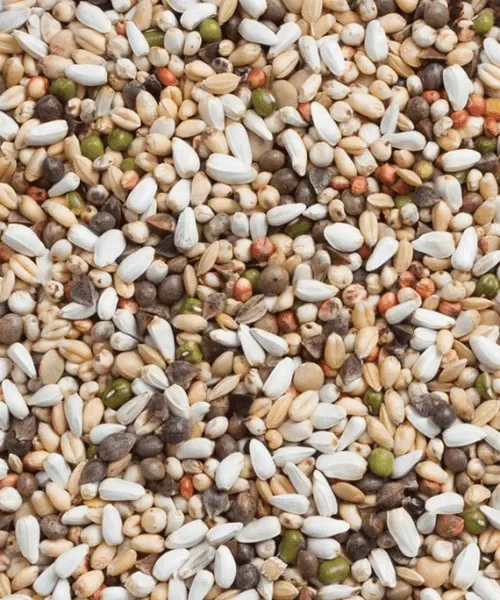 Kiemzaad grote Parkiet en Papegaai (1 kg)