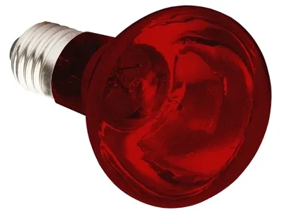 Komodo Infrarood Warmtelamp Es 75 Watt