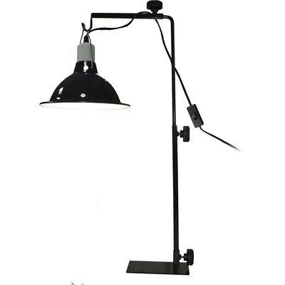 Komodo Licht Standaard 37 63 cm