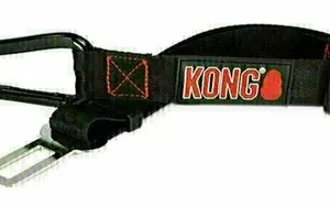 Kong Autogordel