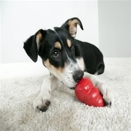 KONG classic rood Medium - Image 2