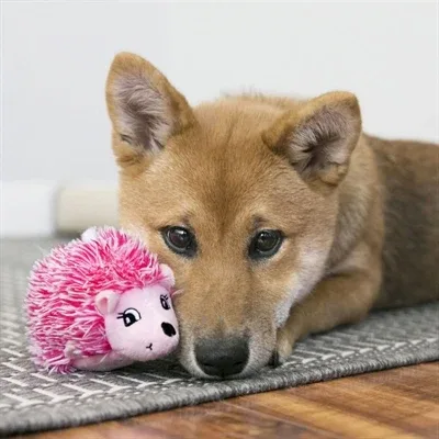 Kong Comfort Hedgehug Puppy Egel - Assorti - Image 2