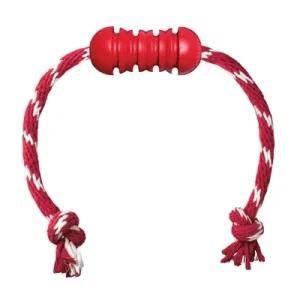 Kong Dental met Touw - 16 kg
