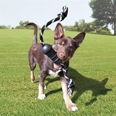 Kong Extreme Dental met Touw - Zwart - Image 2