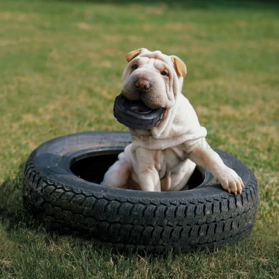 KONG - EXTREME TYRES hondenspeeltje - Image 2