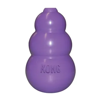 Kong Kitty Kong