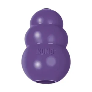 Kong Senior - Paars